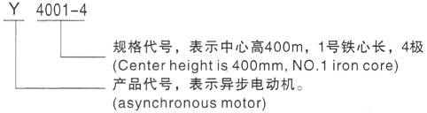 西安泰富西玛Y系列(H355-1000)高压YRKK5001-4三相异步电机型号说明